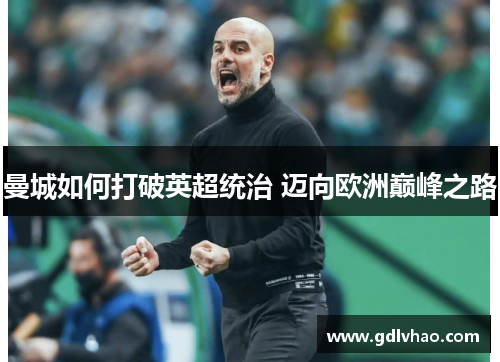 曼城如何打破英超统治 迈向欧洲巅峰之路