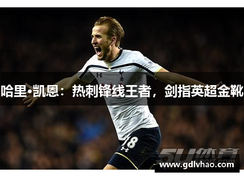 哈里·凯恩：热刺锋线王者，剑指英超金靴