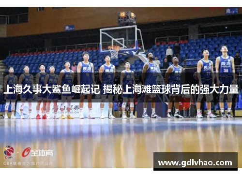 上海久事大鲨鱼崛起记 揭秘上海滩篮球背后的强大力量