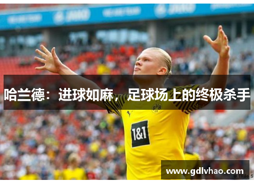 哈兰德：进球如麻，足球场上的终极杀手