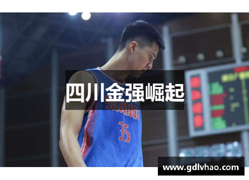 四川金强崛起